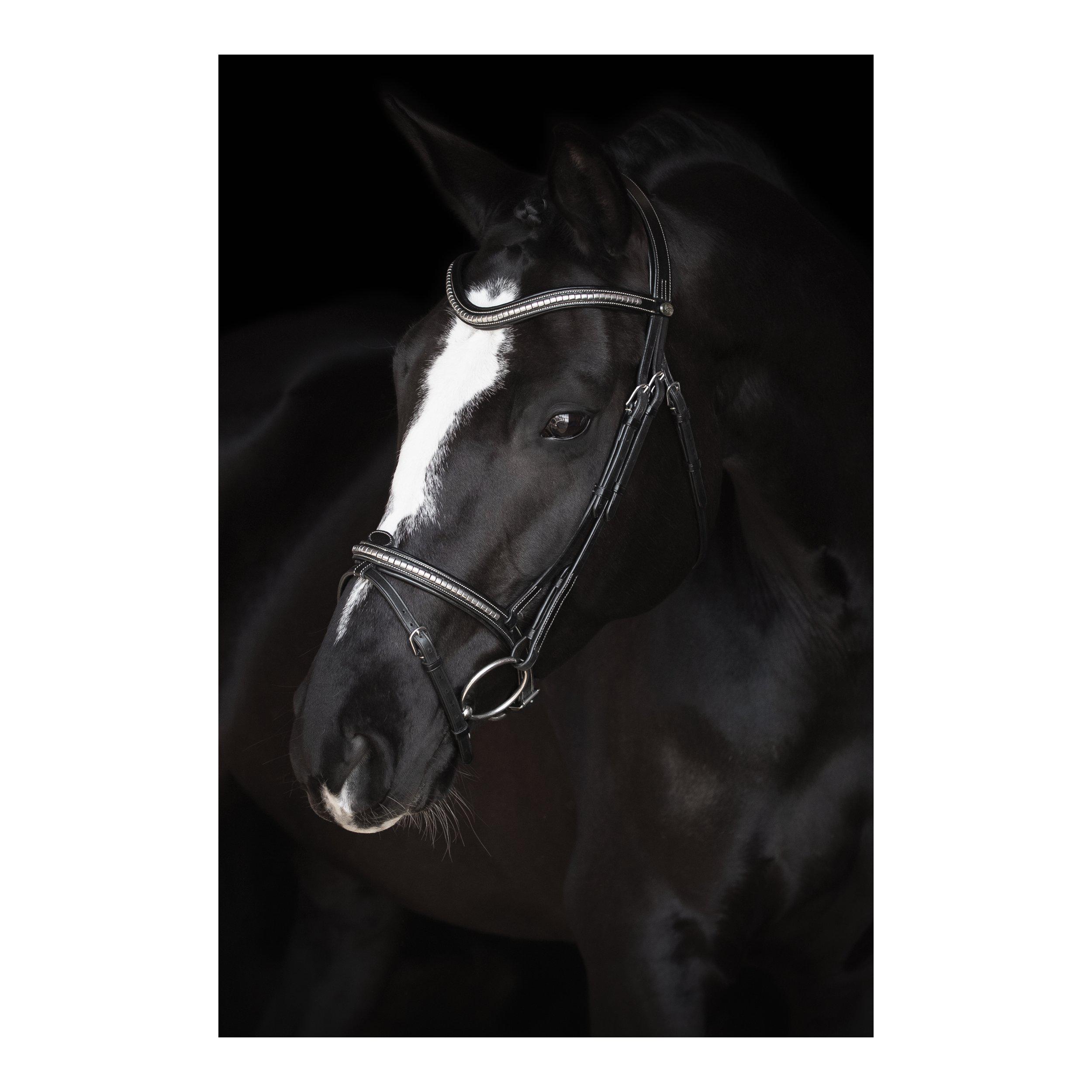 Lippo Supreme Nexon Bridle - Black/Silver - Anatomical