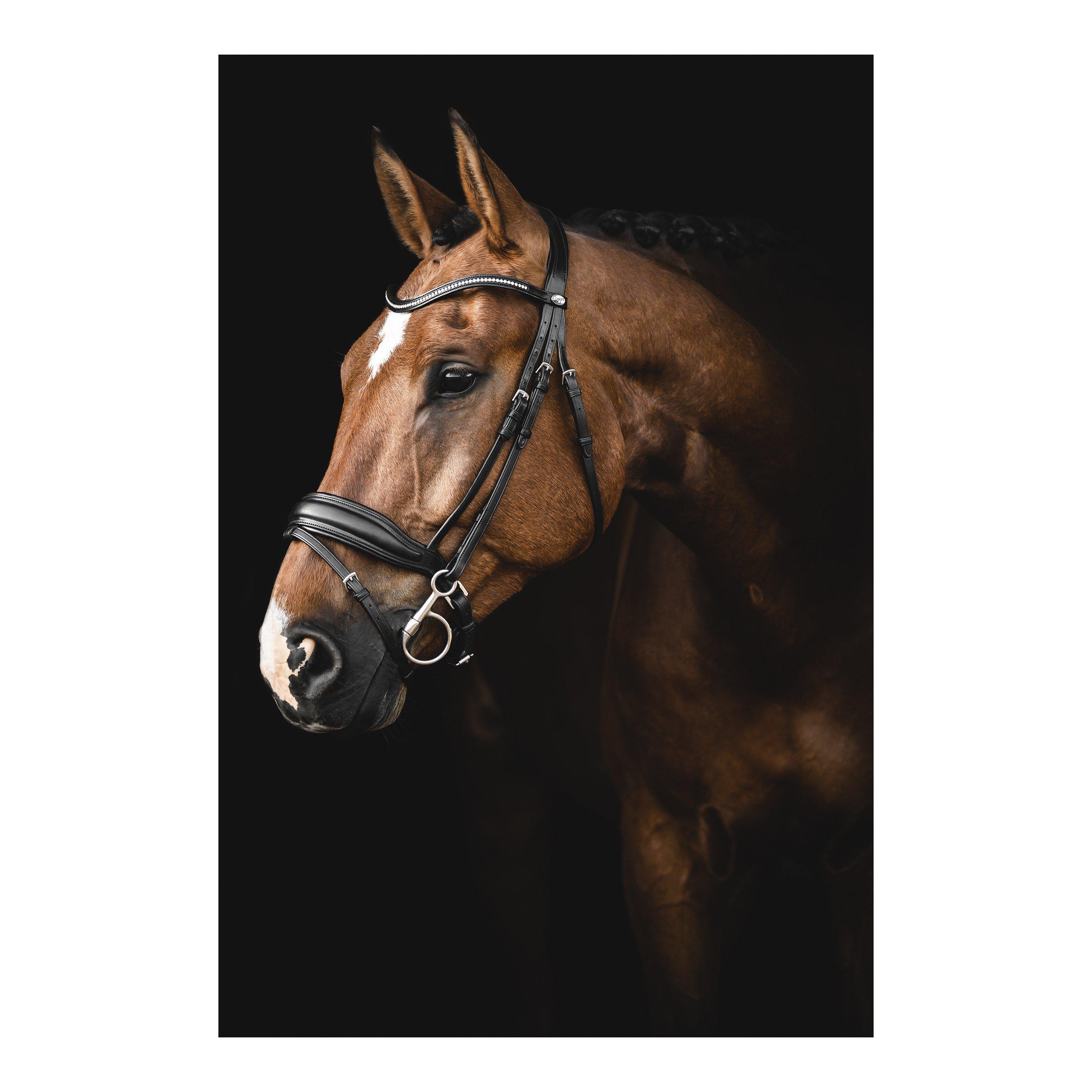 Lippo Supreme Integro Bridle - Black - Anatomical