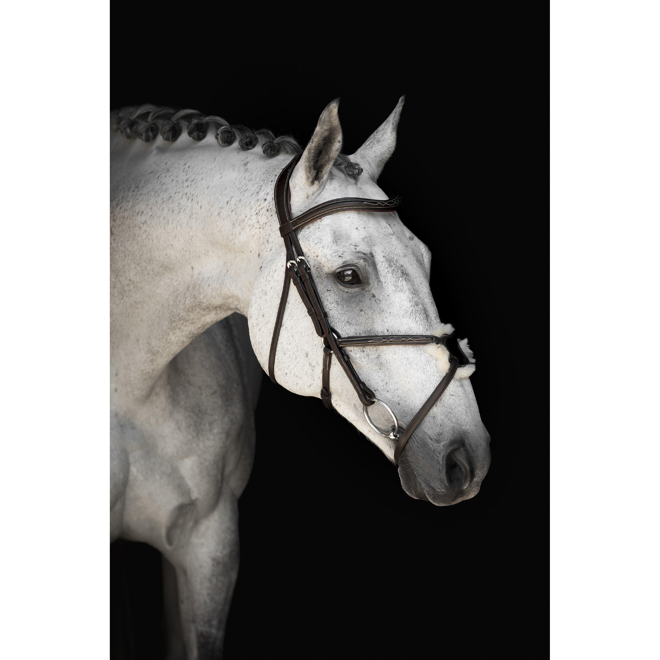 Lippo Supreme Wilson Bridle - Black - Anatomical