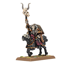 Warhammer The Old World Warriors Of Chaos: Sorcerer of Chaos on Chaos Steed