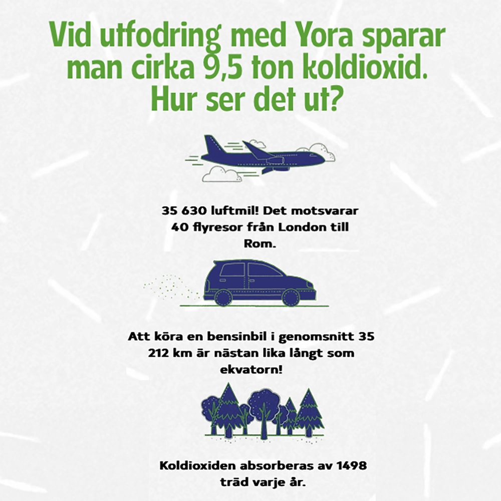Yora hundmat - all breed - 4