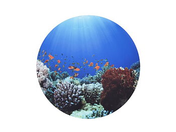 Sensorisk lekmatta havet