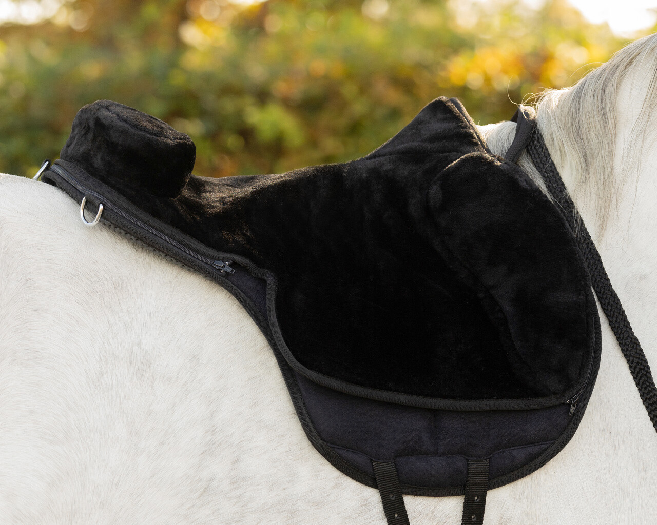 QHP barbackasadel / ridpad SuperSoft (2-i-1), svart, shettis - 22