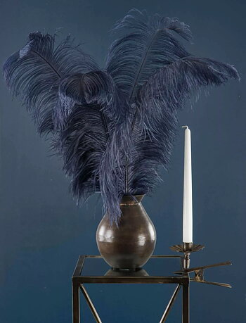 Ljushållare/klämma