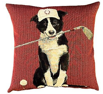 Border collie Golf