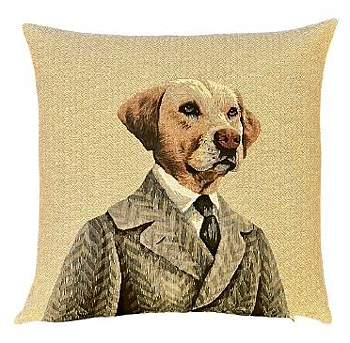 Labrador i kavaj