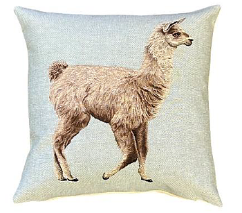 Lama