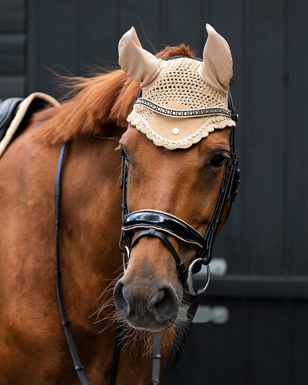 QHP Orlando Bridle - Black/Beige - Padded