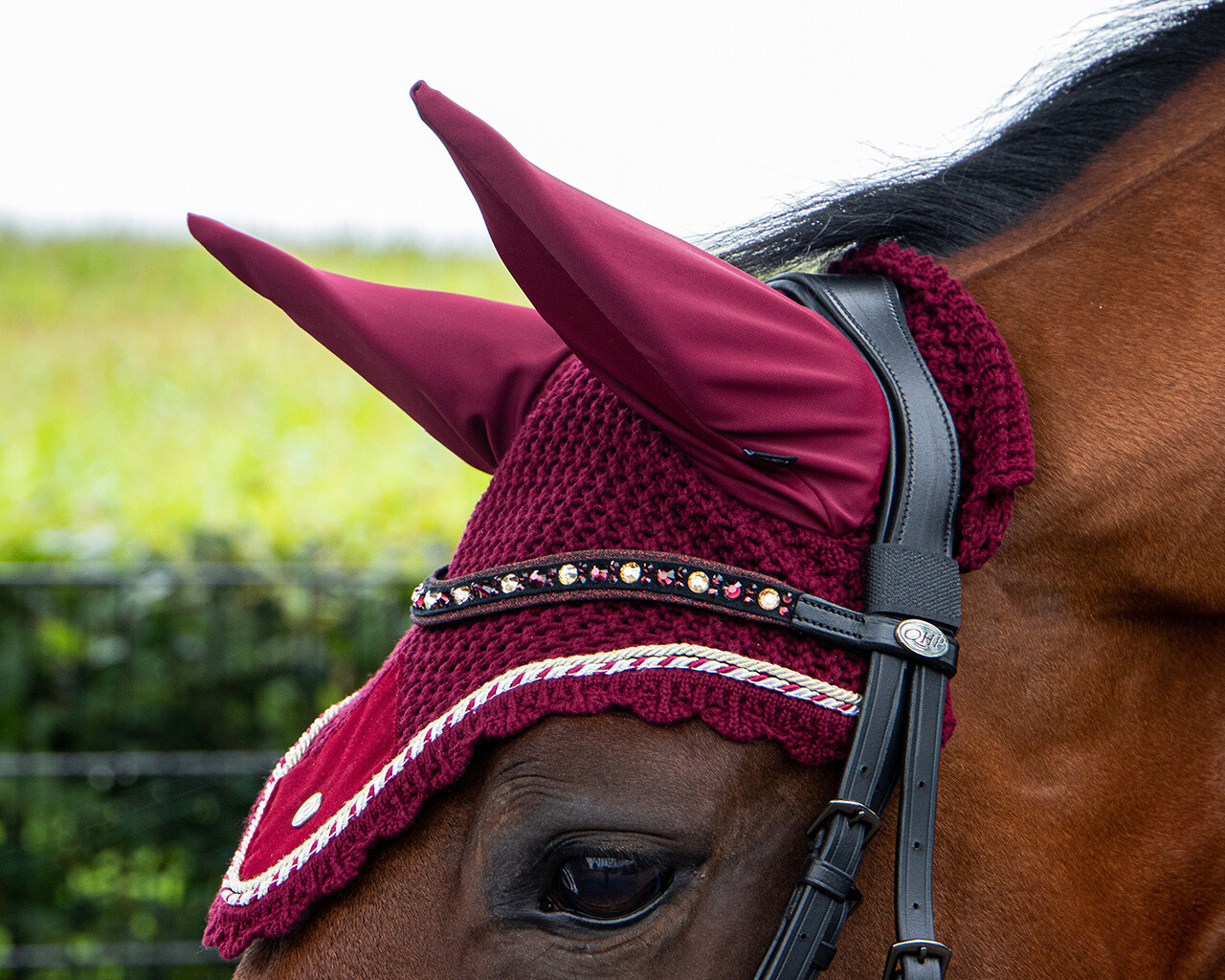 QHP Orlando Bridle - Black/Brown - 6