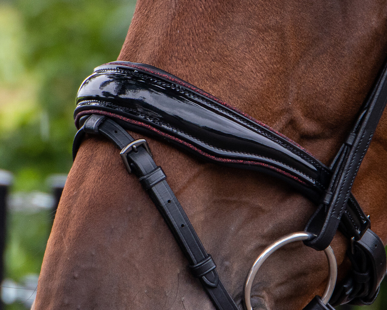 QHP Orlando Bridle - Black/Brown - 7