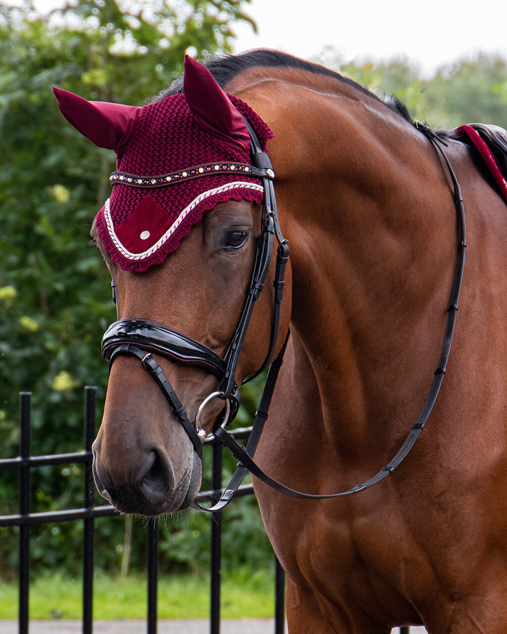 QHP Orlando Bridle - Black/Brown - 3