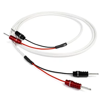 Chord Leyline X
