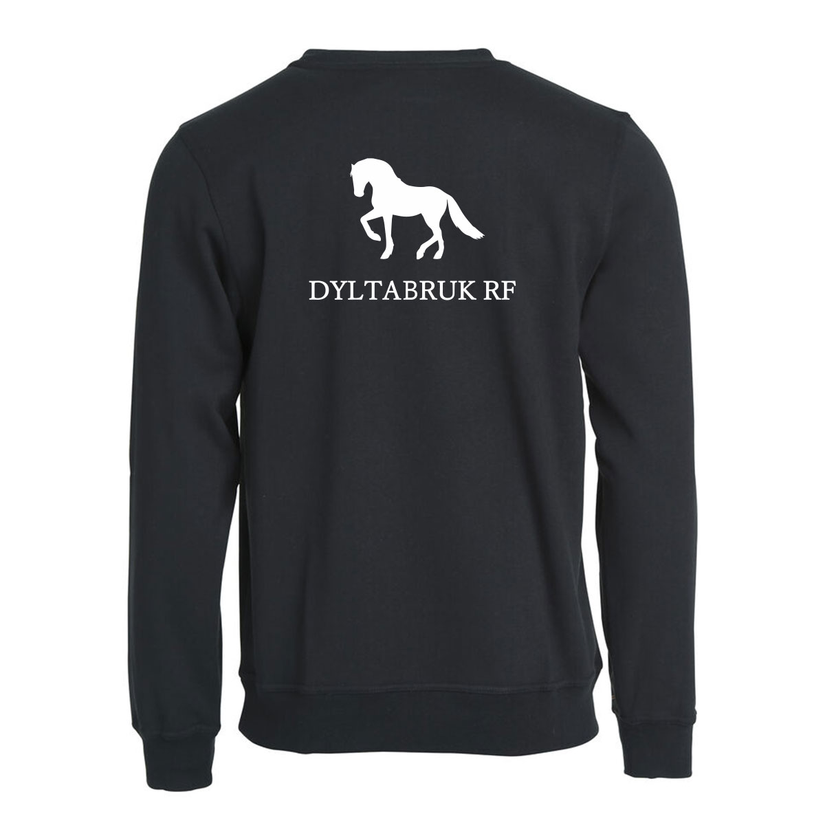 Clique Colleggetröja Unisex (Dylta RF)