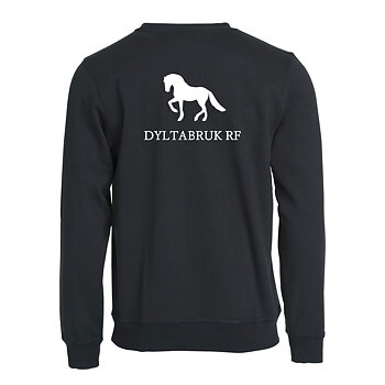 Clique collegetröja Jr (Dylta RF)