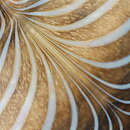 Bertil Vallien (Minos 1984) Brown Vase with Swirling Decor 5 cm