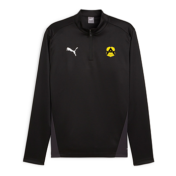 Puma Teamgoal Training 1/4 Zip Top Jersey  Jr (BK Astrio Junior)