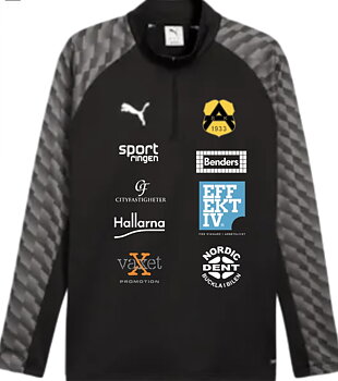 Puma teamLiga 26  1/4 Zip Top Jersey (BK Astrio Senior)