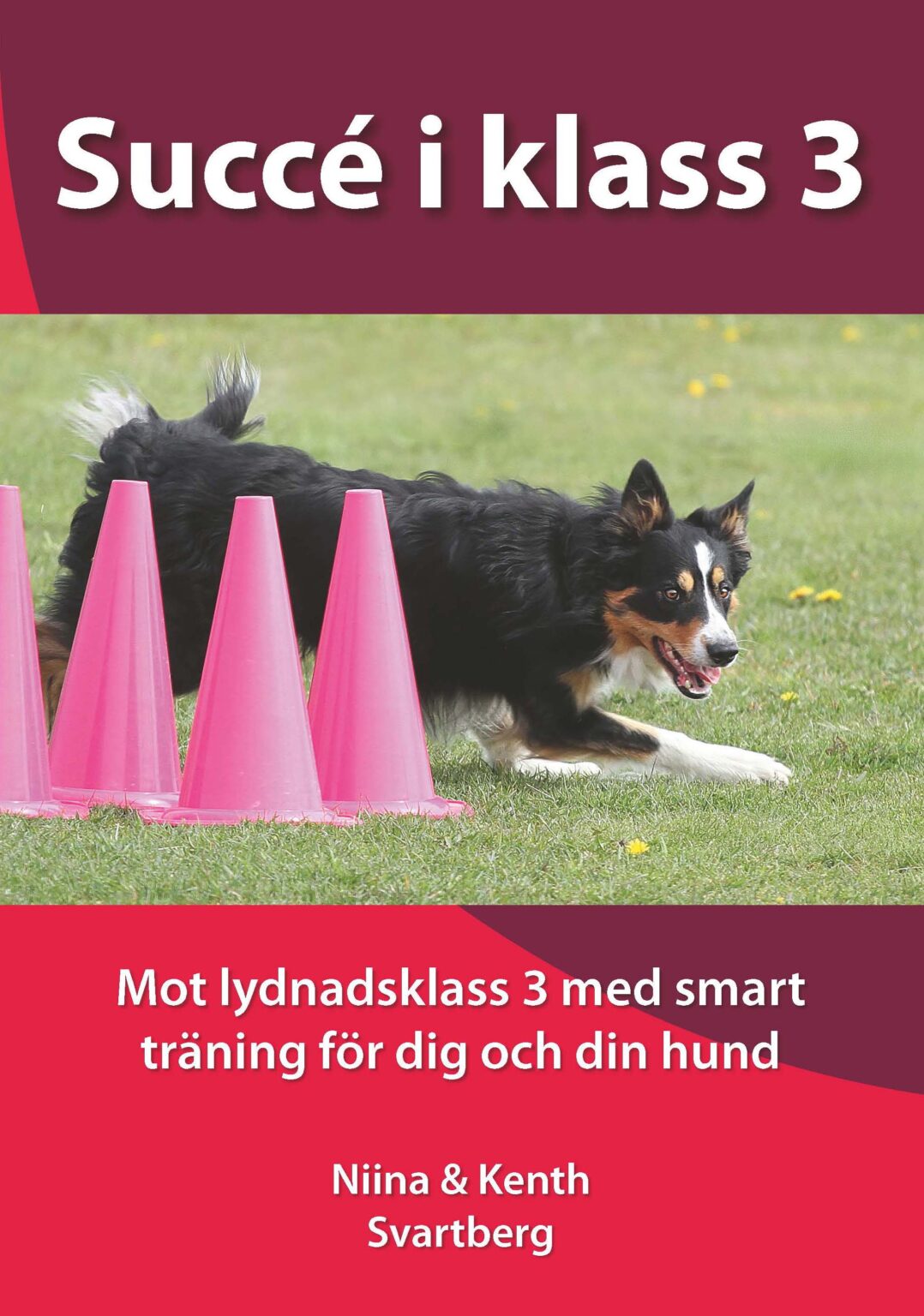 Succé i klass 3 - bok av Niina och Kenth Svartberg