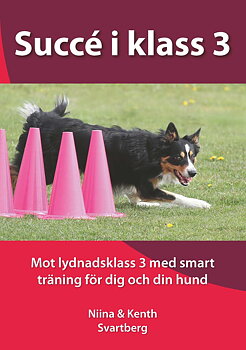 Succé i klass 3 - bok av Niina och Kenth Svartberg