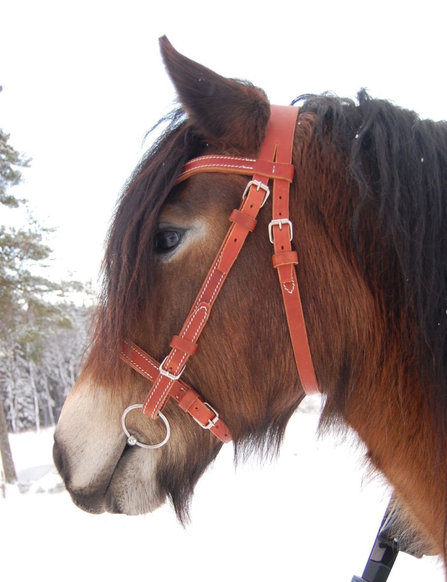 Arbetshuvudlag med nosgrimma