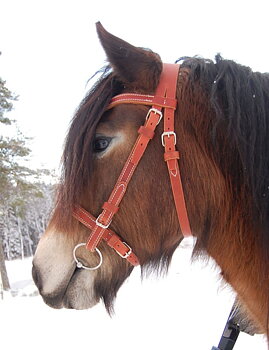 Arbetshuvudlag med nosgrimma