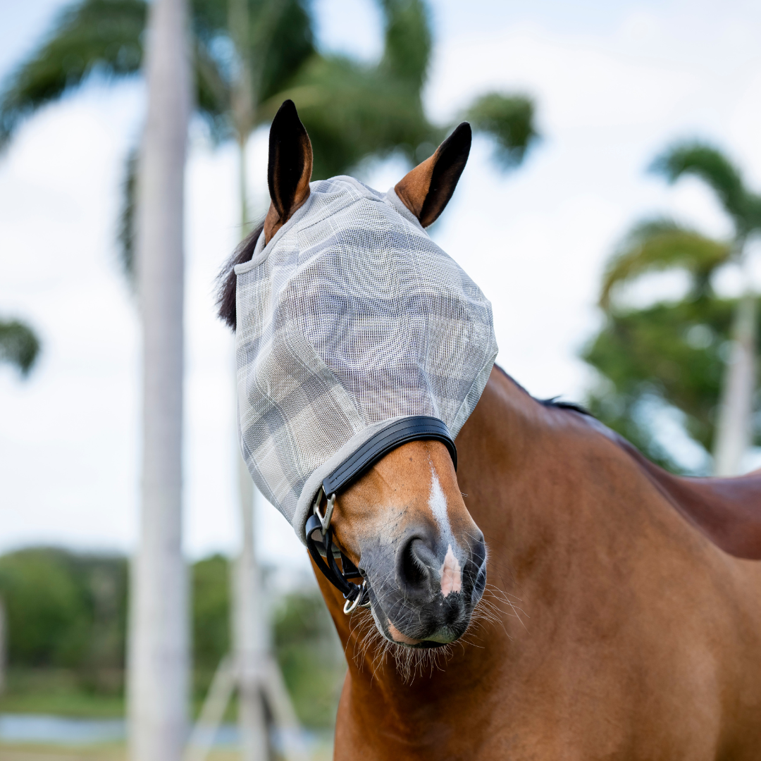 HORSEWARE NEWMARKET FLUEMASKE UDEN ØRER
