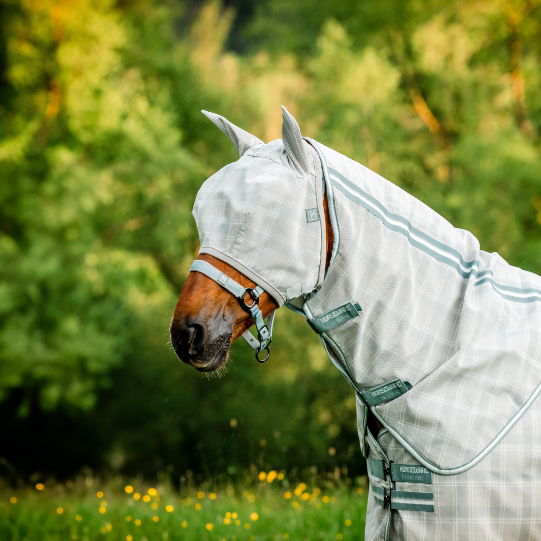 HORSEWARE NEWMARKET KÄRPÄSNAAMARI KORVILLA - 2
