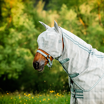 HORSEWARE NEWMARKET KÄRPÄSNAAMARI KORVILLA