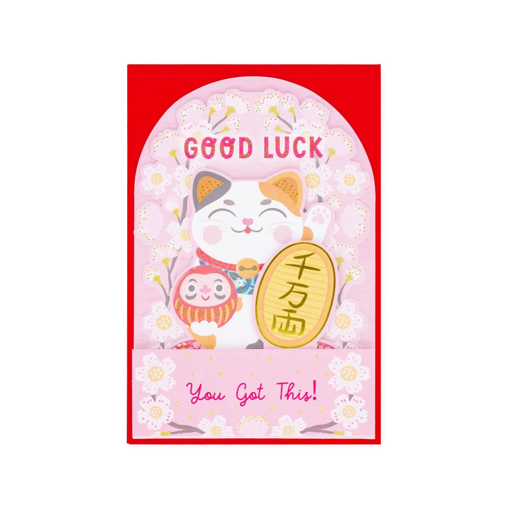 Popup Greeting card, Kitty, Good Luck, You got this! (BGPU0021) - 2