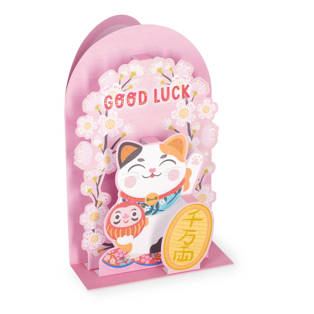 Popup Greeting card, Kitty, Good Luck, You got this! (BGPU0021)