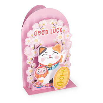 Popup Greeting card, Kitty, Good Luck, You got this! (BGPU0021)