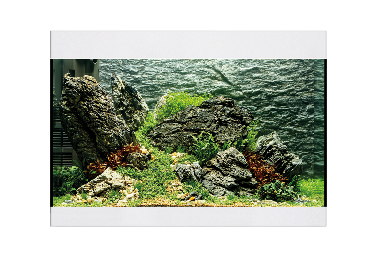 Oase StyleLine 125 akvarium Vit LxBxH: 70x36x50 cm, 115 liter - 2