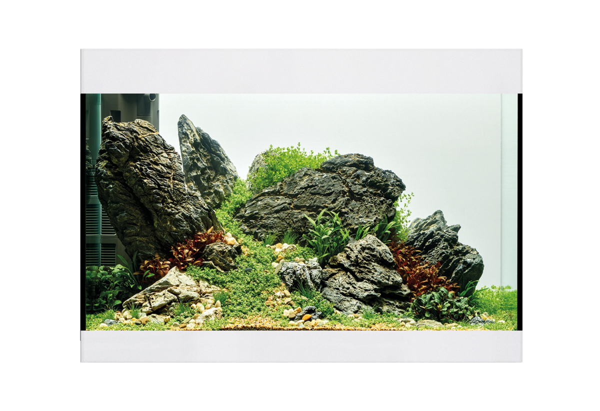 Oase StyleLine 125 akvarium Vit LxBxH: 70x36x50 cm, 115 liter - 3
