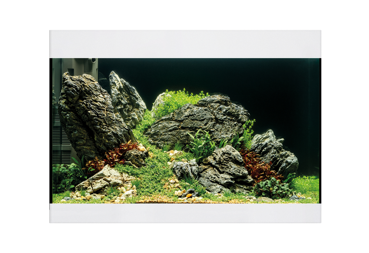 Oase StyleLine 125 akvarium Vit LxBxH: 70x36x50 cm, 115 liter - 4