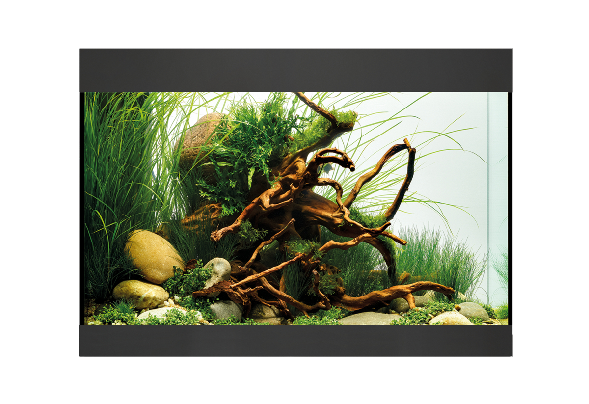 Oase StyleLine 125 akvarium Svart LxBxH: 70x36x50 cm, 115 liter - 4