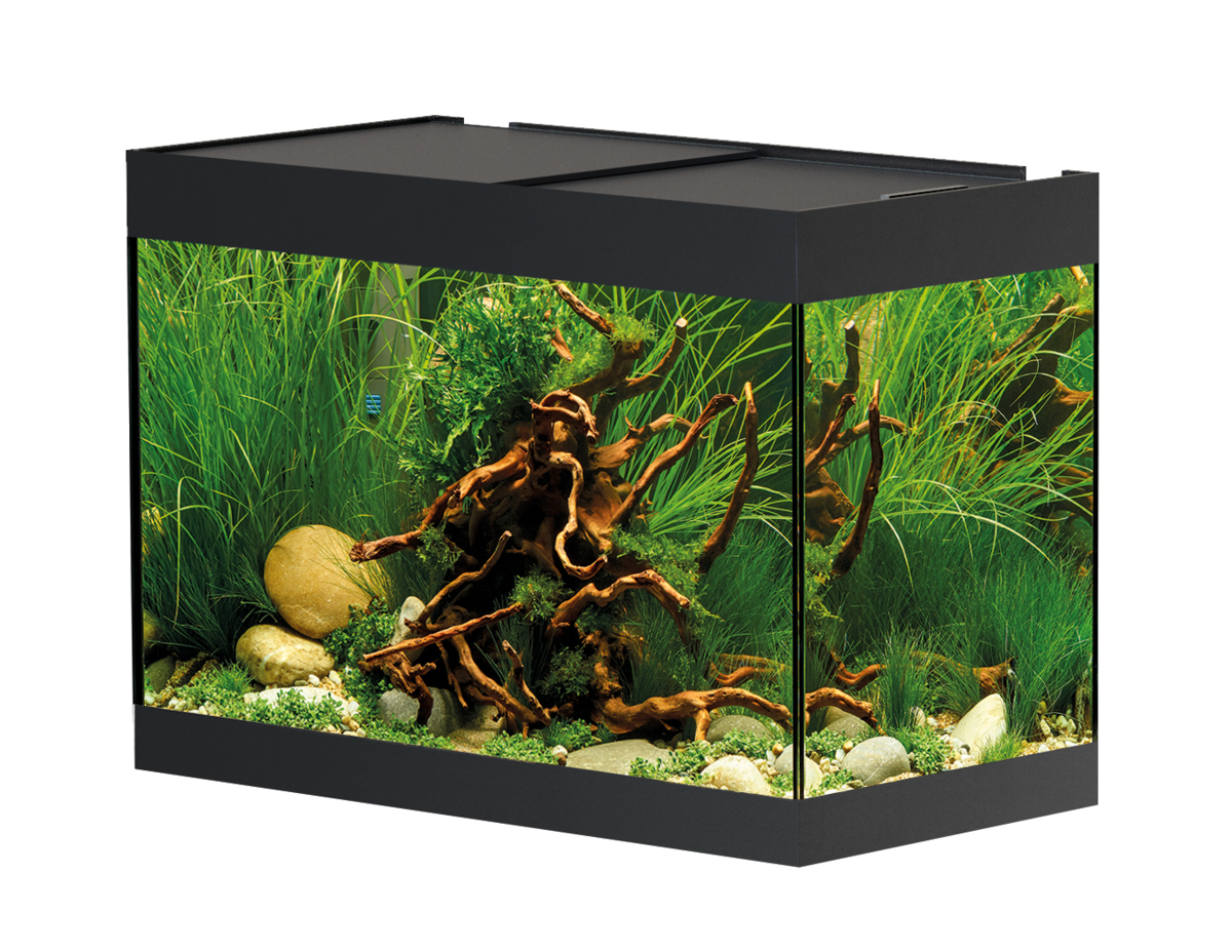 Oase StyleLine 125 akvarium Svart LxBxH: 70x36x50 cm, 115 liter - 2