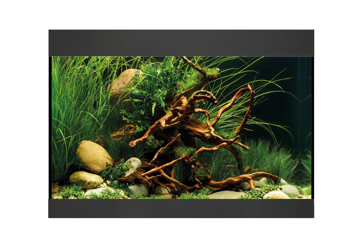 Oase StyleLine 125 akvarium Svart LxBxH: 70x36x50 cm, 115 liter - 5