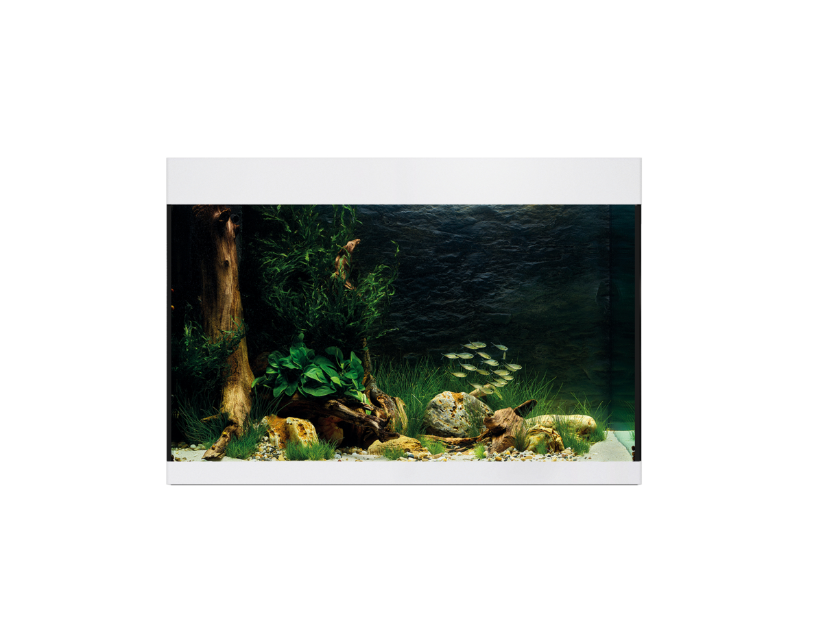 Oase StyleLine 175 akvarium Vit LxBxH: 80x40x55 cm, 160 liter - 3