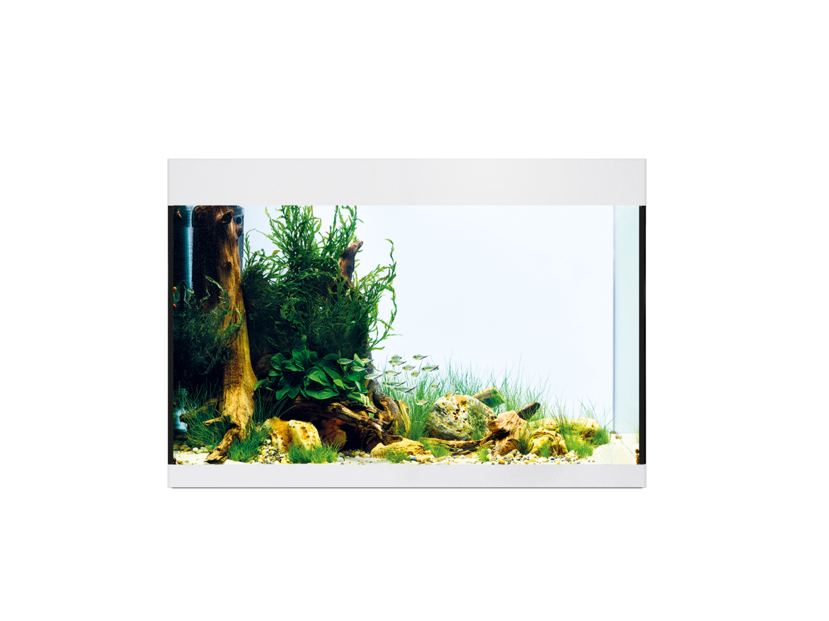 Oase StyleLine 175 akvarium Vit LxBxH: 80x40x55 cm, 160 liter - 4