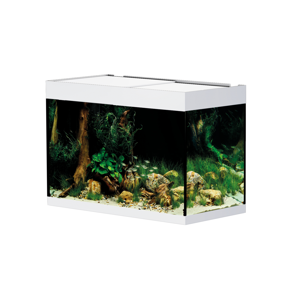 Oase StyleLine 175 akvarium Vit LxBxH: 80x40x55 cm, 160 liter - 2