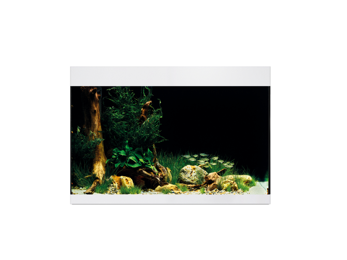 Oase StyleLine 175 akvarium Vit LxBxH: 80x40x55 cm, 160 liter - 5