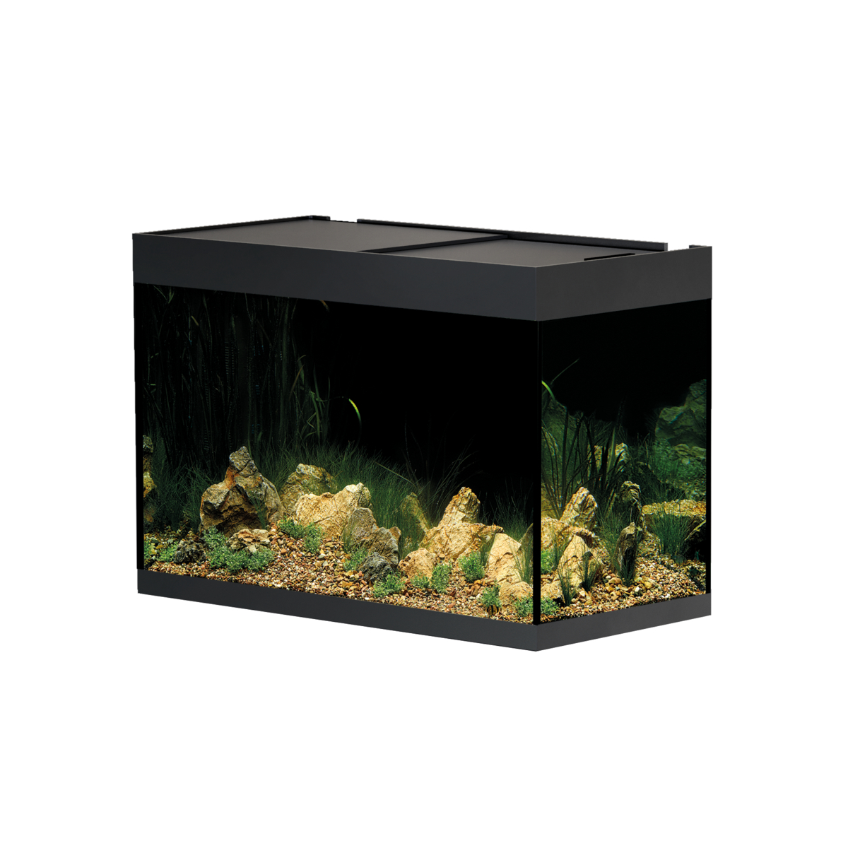 Oase StyleLine 175 akvarium Svart LxBxH: 80x40x55 cm, 160 liter - 2