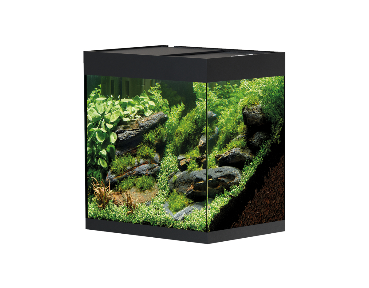 Oase StyleLine 85 akvarium Svart LxBxH: 50x36x42 cm, 75 liter - 2