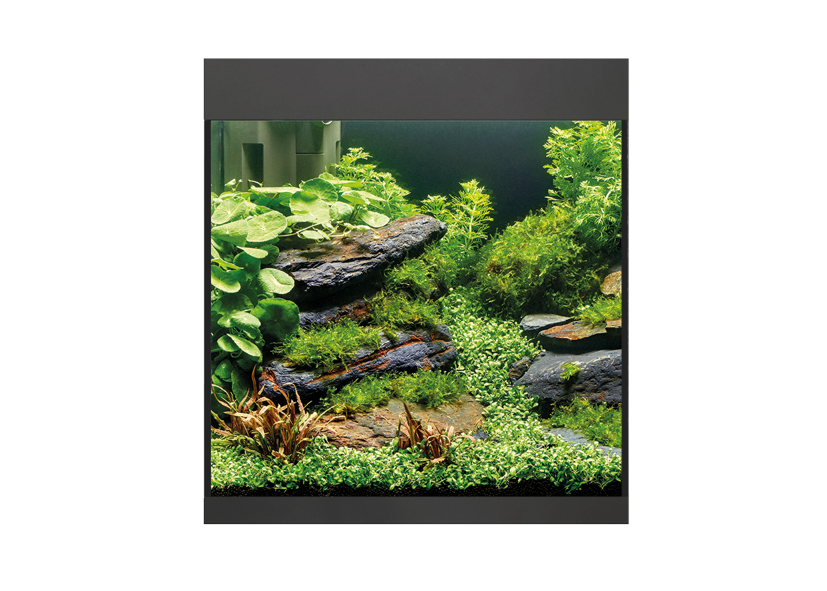 Oase StyleLine 85 akvarium Svart LxBxH: 50x36x42 cm, 75 liter - 5