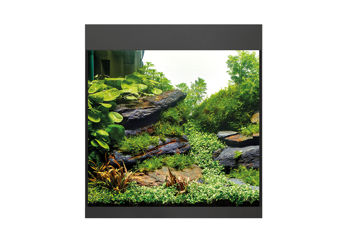 Oase StyleLine 85 akvarium Svart LxBxH: 50x36x42 cm, 75 liter - 4