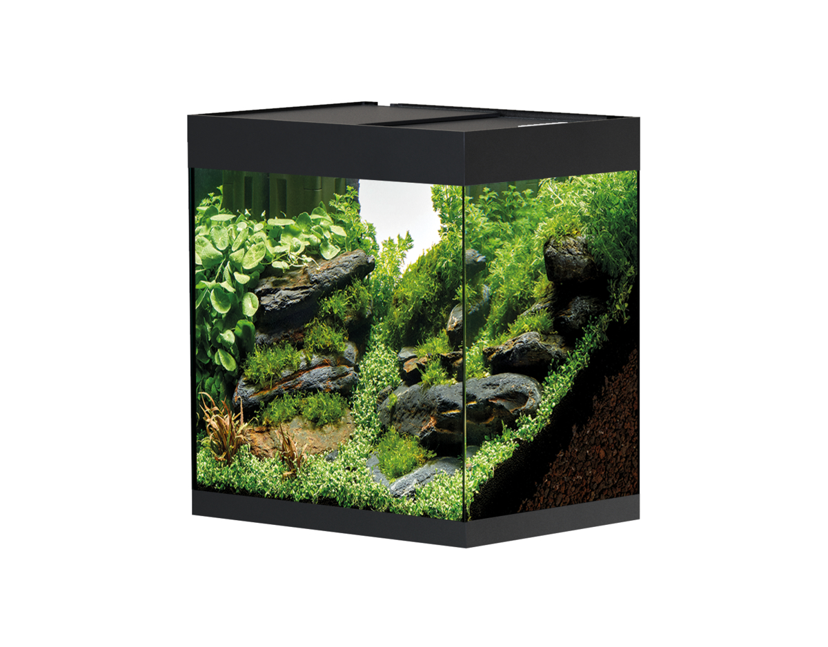 Oase StyleLine 85 akvarium Svart LxBxH: 50x36x42 cm, 75 liter