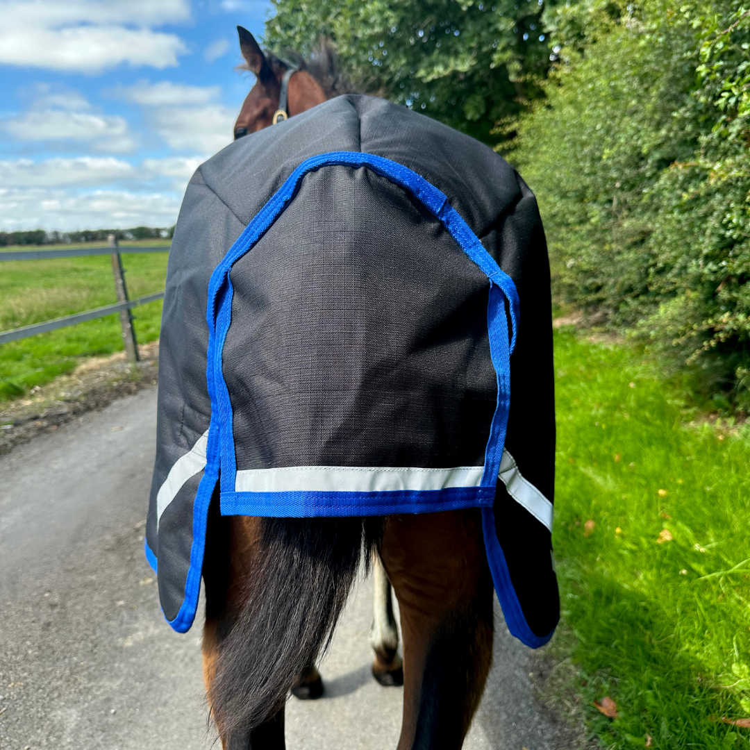 AMIGO RIPSTOP FOAL RUG 9 200GR - 5