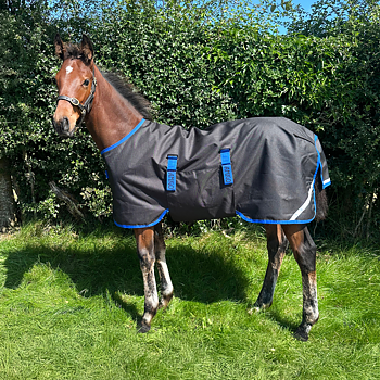 AMIGO RIPSTOP FOAL RUG 9 200GR