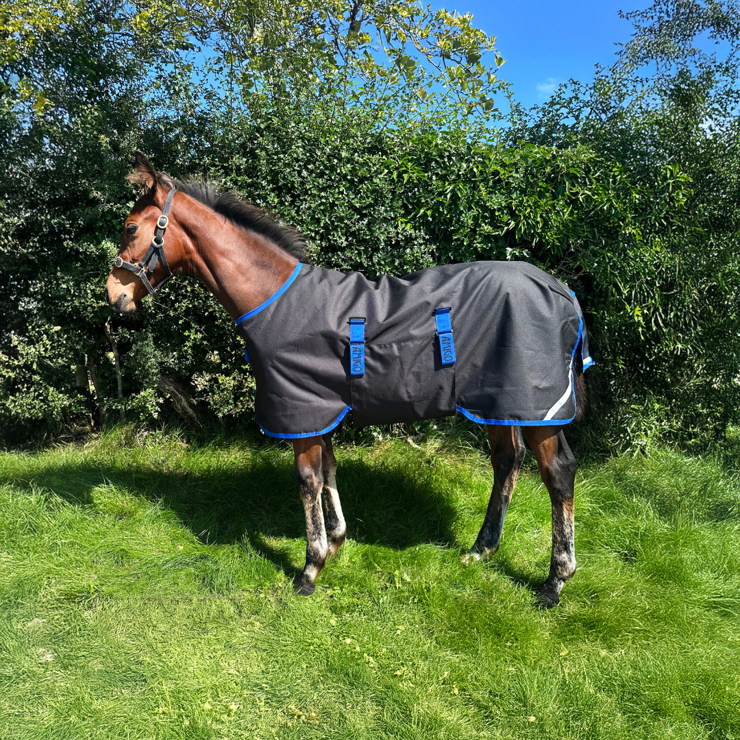 AMIGO RIPSTOP FOAL RUG 9 200GR - 3