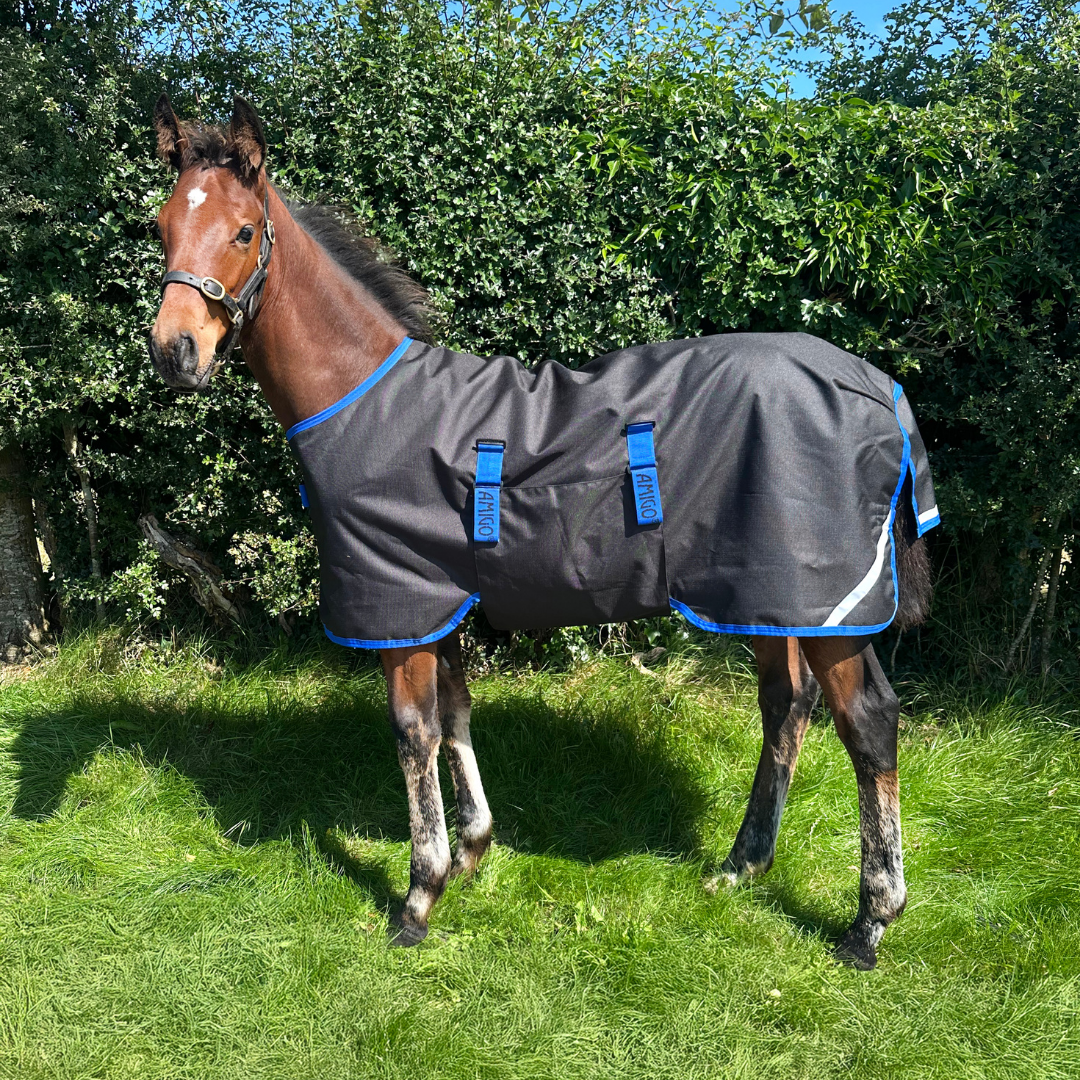 AMIGO RIPSTOP FOAL RUG 9 50GR - 4